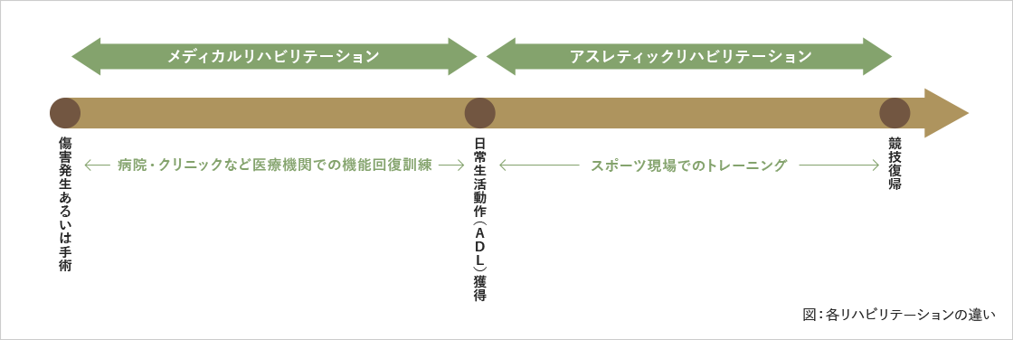 図：各リハビリテーションの違い